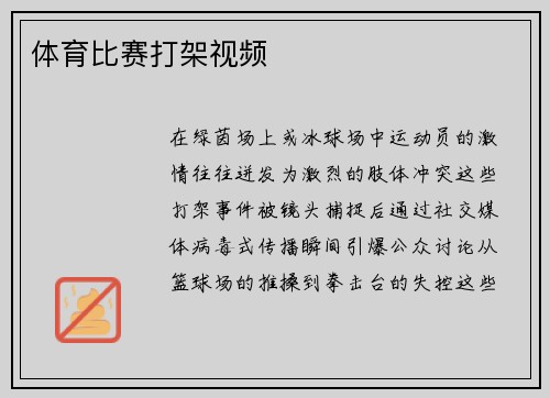 体育比赛打架视频